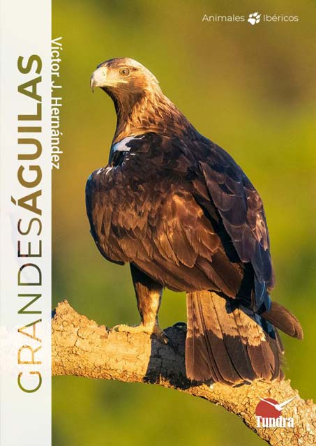01_GrandeAguilas.jpg 01_GrandeAguilas.jpg