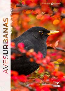 Aves Urbanas - DISPONIBLE 30 OCTUBRE 2025 ¡HAZ YA TU PEDIDO!