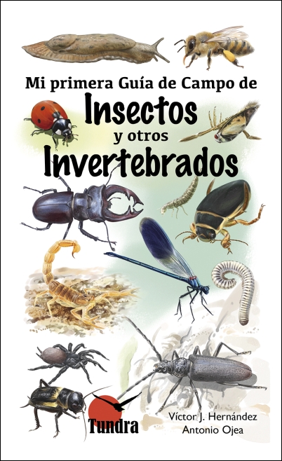 4.20Mi20primera20guia20insectos.jpg 4.20Mi20primera20guia20insectos.jpg