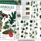 Arboles_tundra.jpg