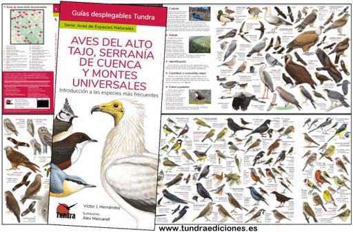 Aves_alto_tajo.jpg Aves_alto_tajo.jpg