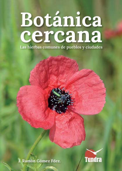 Botanica_cercana.jpg Botanica_cercana.jpg