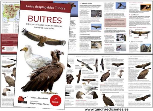 Buitres2ed.jpg Buitres2ed.jpg