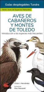 Aves de Cabañeros y Montes de Toledo. Introducción a las especies más frecuentes
