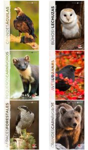 Colección Libros>Animales Ibéricos (6 primeros Volúmenes) - DISPONIBLES 30 OCTUBRE 2025 ¡HAZ YA TU PEDIDO!