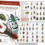 Escarabajos.jpg
