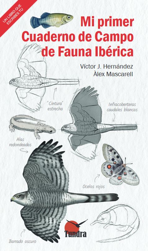 MPCuaderno.jpg MPCuaderno.jpg