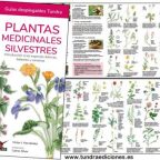 Plantasmedicinalessilvestres.jpg