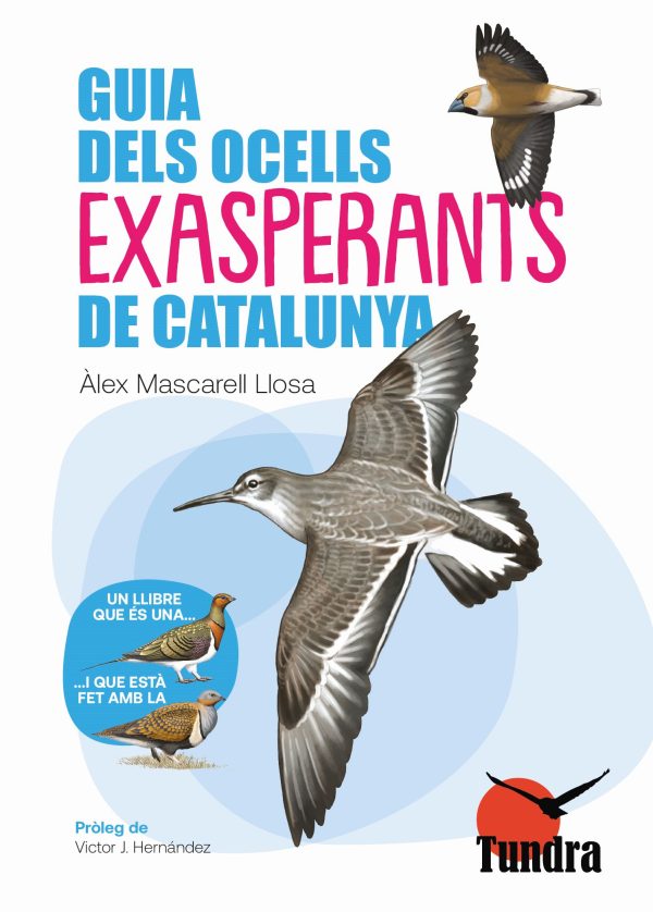Portada.jpg Portada.jpg