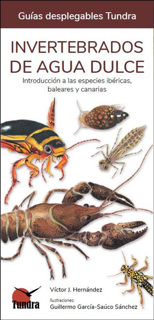 PortadaInvertebradoaAguaDulce.jpg PortadaInvertebradoaAguaDulce.jpg