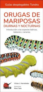Orugas de mariposas diurnas y nocturnas. Introducción a las especies ibéricas, baleares y canarias