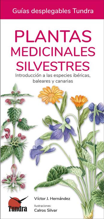 Portada_PlantasMedicinales3.jpg Portada_PlantasMedicinales3.jpg