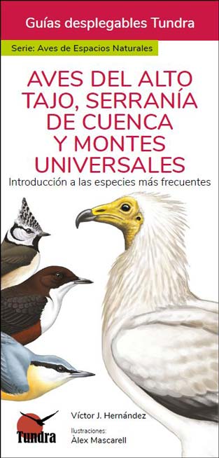 Portada_aves_alto_tajo9.jpg Portada_aves_alto_tajo9.jpg