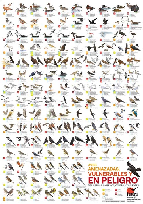 PosterAvesamenazadas1.jpg PosterAvesamenazadas1.jpg
