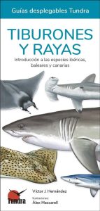 Tiburones y rayas. Introducción a las especies ibéricas, baleares y canarias