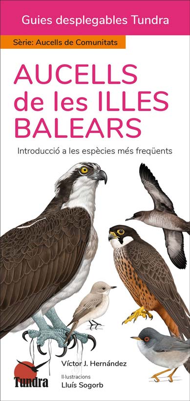 aucells_balears.jpg aucells_balears.jpg
