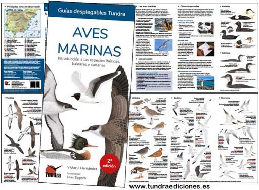 aves_marinas_2ED.jpg aves_marinas_2ED.jpg