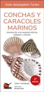 Conchas y caracoles marinos. Introducción a las especies ibéricas, baleares y canarias - 2ª EDICIÓN