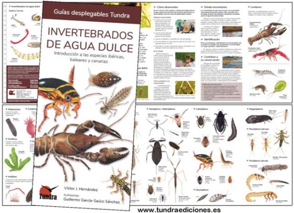 invaguadulce.jpg invaguadulce.jpg