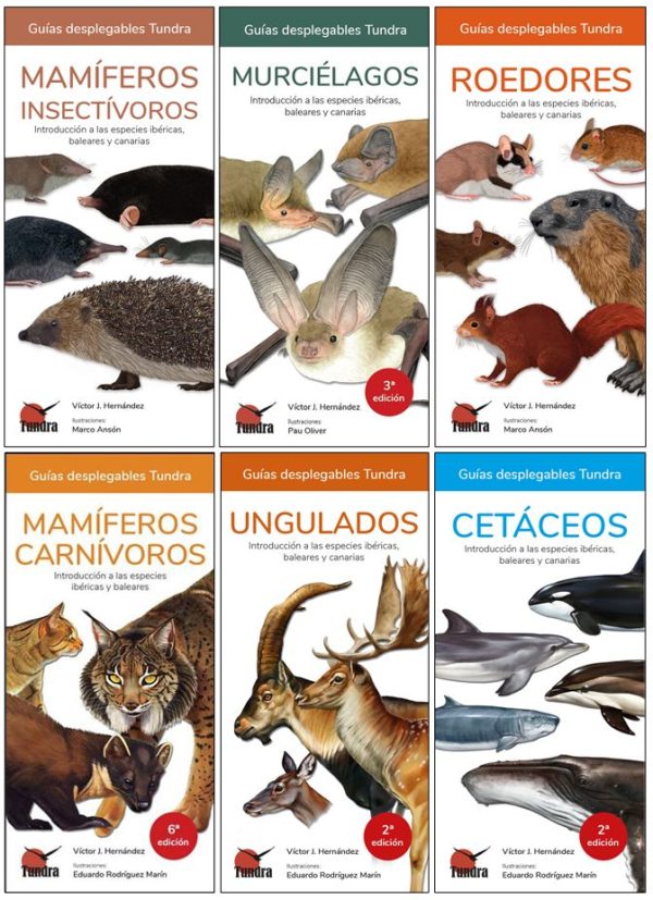 mamiferos7.jpg mamiferos7.jpg