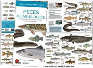 peceaaguadulce.jpg