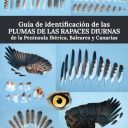 portadaPlumas6.jpg
