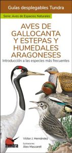 Aves de Gallocanta y estepas y humedales aragoneses. Introducción a las especies más frecuentes