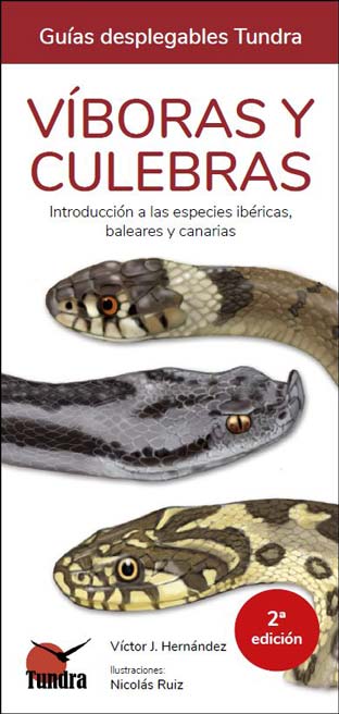 viboras-2ED.jpg viboras-2ED.jpg